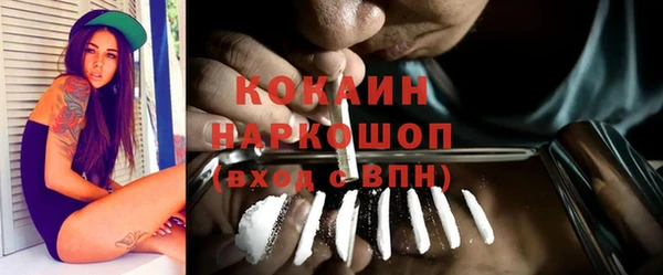 твердый Алексин