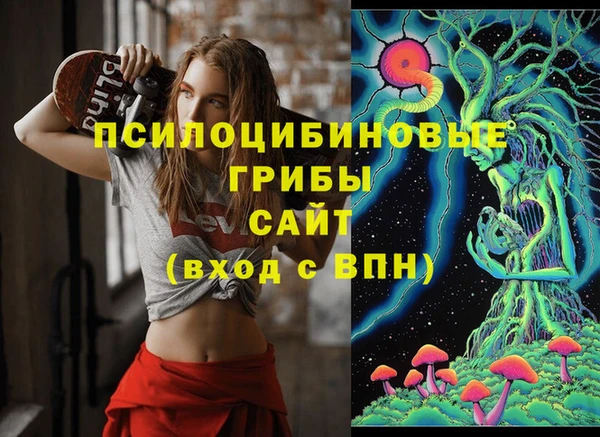 твердый Алексин