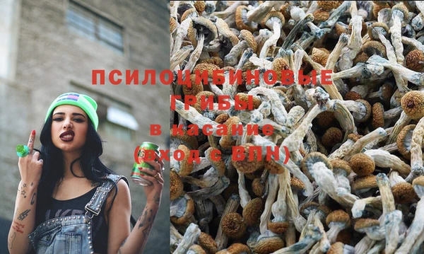 твердый Алексин