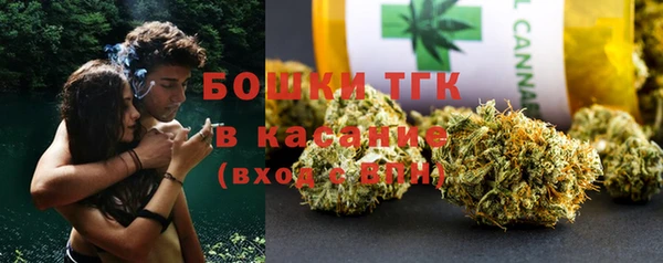 твердый Алексин
