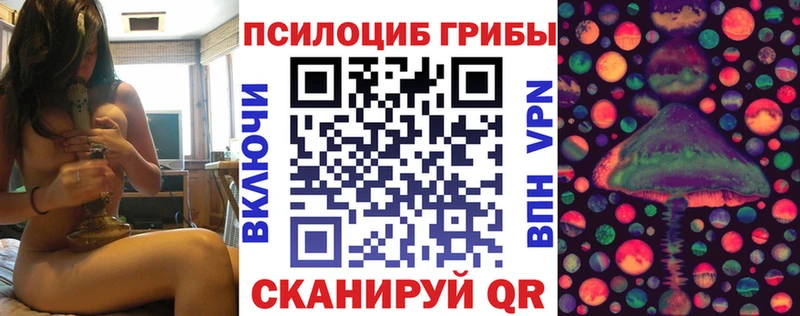 Купить  Кодинск  Псилоцибиновые грибы ЛСД 
